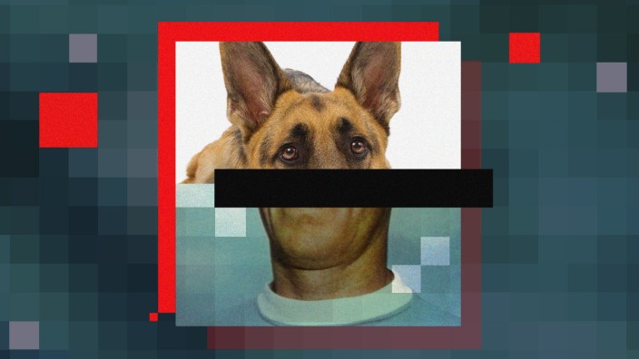 Digitale Privatsphäre: Mensch, Hund, irgendwas dazwischen: Eine Zeitlang war es egal, als was man im Netz unterwegs war - doch im Zuge der Kommerzialisierung schwand die Anonymität.
