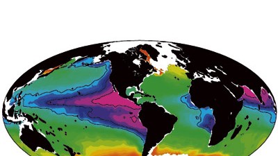 Weltmeere: Regionen mit sehr geringem Sauerstoff sind violett gekennzeichnet. Betroffen sind überwiegend die Tropen.
