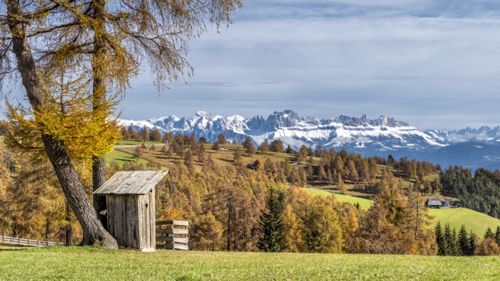 Wandern in Südtirol: Herbst auf dem Salten: Blick zu den Dolomiten mit der Rosengartengruppe.