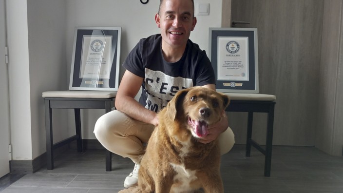 Tiere: Bobi zu Lebzeiten mit seinem Besitzer Leonel Costa. Im Hintergrund sieht man die Urkunde vom Guinnessbuch der Rekorde. Aber hatte er die auch verdient?