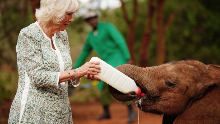 Leute: Königin Camilla füttert in Kenia ein Elefantenbaby.