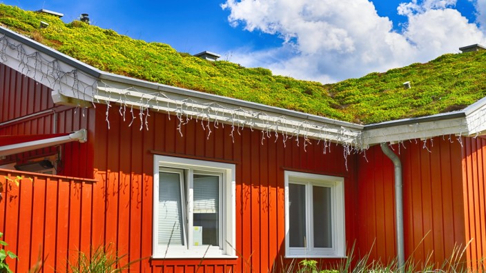 Klimafreundlich renovieren: Wie gestaltet man Haus und Garten möglichst umweltfreundlich? Zum Beispiel mit einer Begrünung des Dachs.