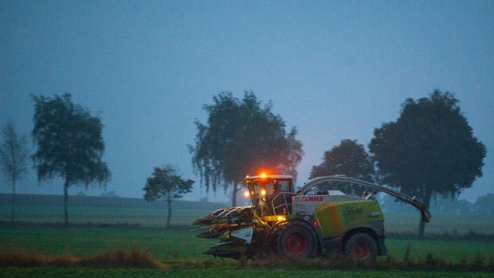 Maishäcksler-Prozess: Im westlichen Mittelfranken klagten 2019 mehrere Landwirte über Anschläge auf ihre Maishäcksler (hier ein Bild aus Niedersachsen) und Felder. Gemutmaßt wurde zunächst über die Taten von Mais-Hassern.