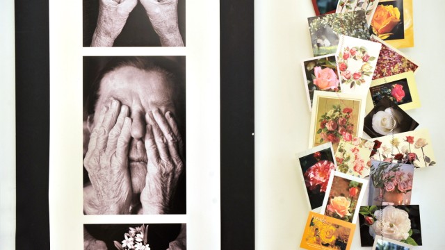 Kultur: Petra Bauer-Wolframs Postkarten beschäftigen sich mit Leben und Tod - und damit auch mit der Natur.