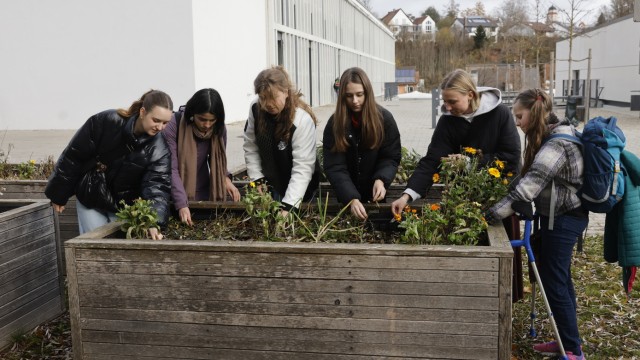 Umweltbildung in der Schule: Lernen am Hochbeet: Selbst anzupflanzen, soll Schüler für Umweltbelange sensibilisieren.