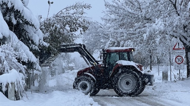 Zum Adventsbeginn: Ein Traktor erleichtert in Mittelstetten Bäume von der Schneelast.