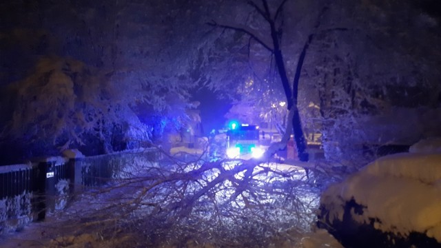 Zum Adventsbeginn: Zwischen Olching und Gröbenzell beseitigt die Feuerwehr einen umgestürzten Baum.