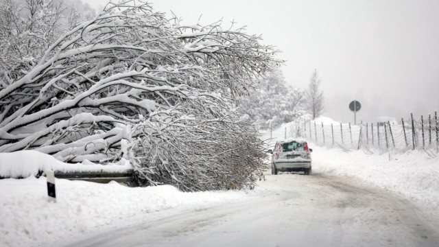 Wintereinbruch in Bayern: In Landsberg am Lech hat ein Baum der Schneelast nicht standgehalten.