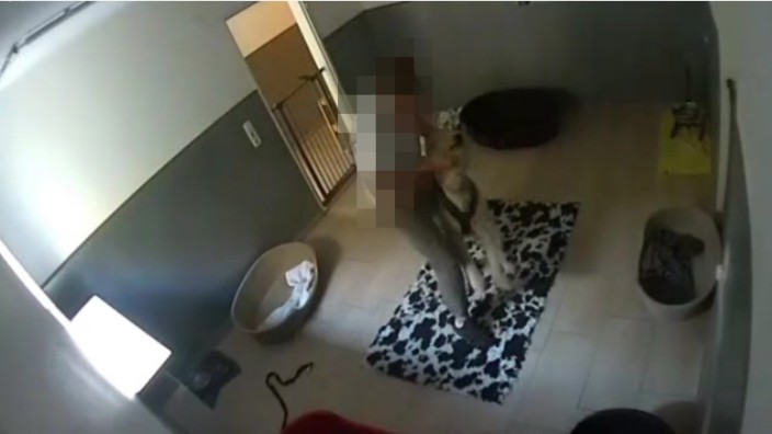 Tierschutz: Der Tierrechtsorganisation sind Bilder von einer Überwachungskamera in einer Hundepension zugespielt worden.