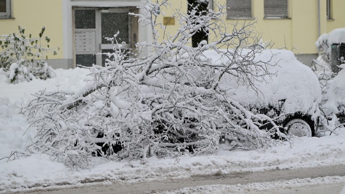 Kfz-Versicherung: So sahen nach dem Schneewochenende einige Autos in München aus. Wer kommt nun für den Schaden auf?