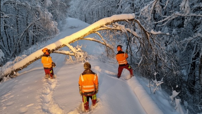 Nach den Schneemassen in Oberbayern: Die Schneelast hat zahlreiche Bäume umstürzen lassen - auch auf Gleise.