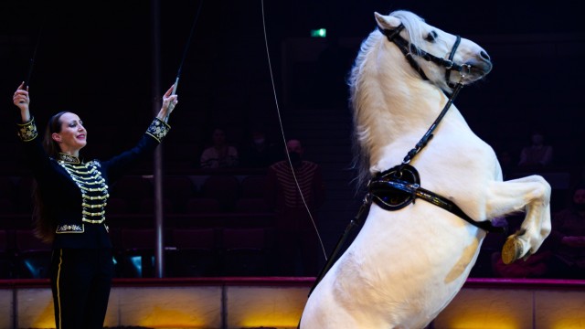 Weihnachtliche Shows für Familien und Kinder: Im Juli hat Zirkus-Chefin Jana Mandana (hier 2022) ihren dritten Sohn bekommen - in München wird sie nach einer mehrmonatigen Pause wieder ihre berühmte Pferdedressur zeigen.