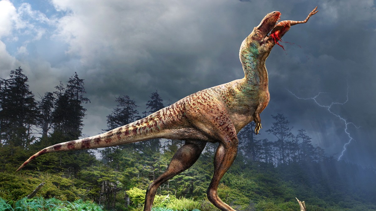 Comment le Tyrannosaure a appris à chasser – Connaissance