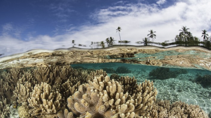 Klimawandel: Die Salomonen sind bekannt für den Artenreichtum im Meer um die Inseln. Doch viele der kleineren Inseln und die Küstenregionen könnten schon bald vom steigenden Meeresspiegel überspült werden.