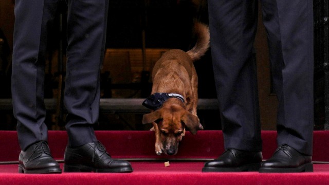 Erdoğan in Athen: Mitsotakis' Hund durfte mit aufs Bild, als der türkische Gast eintraf.