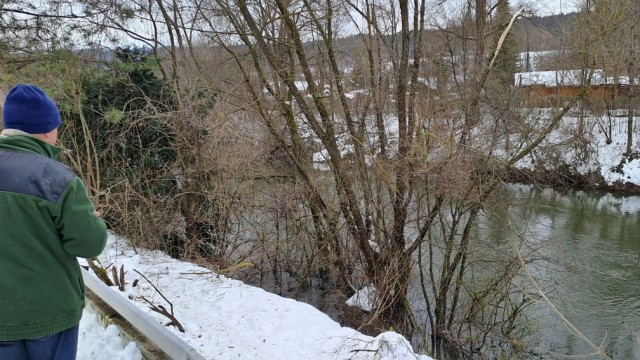 Technische Fragen sind noch offen: Diese Baumgruppe stand noch vor zwei Tagen am Hang zur Loisach - die Wassermassen haben sie in den Fluss hineingeschoben.