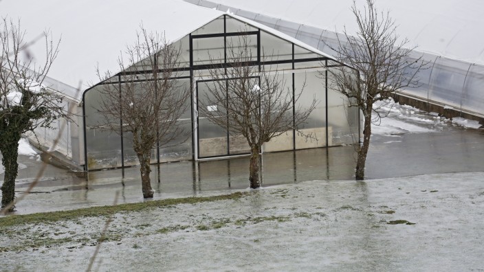 Technische Fragen sind noch offen: Die Glashäuser ihrer Gärtnerei standen nach Schätzung der Holzers mindestens einen halben Meter unter Wasser.