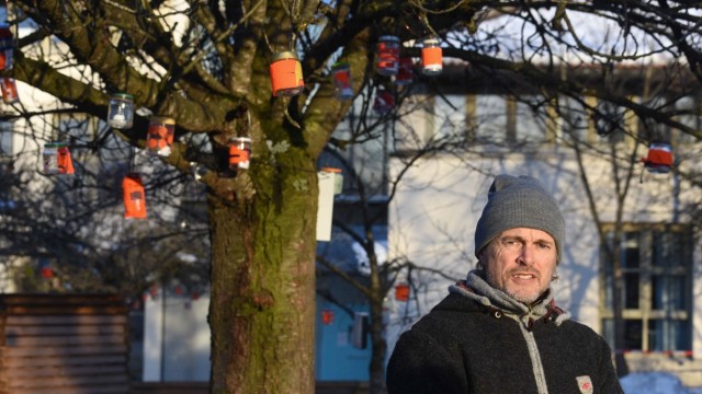 Laternen-Aktion: Bürgermeister Richard Reischl wusste für die Laternen der Hoffnung sofort einen Platz in Hebertshausen: in den Bäumen zwischen Schule und Rathaus.