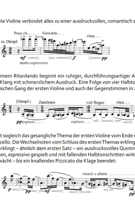 Streichquartette in Bad Tölz: Viele Notenbeispiele runden die Einführungen ab.