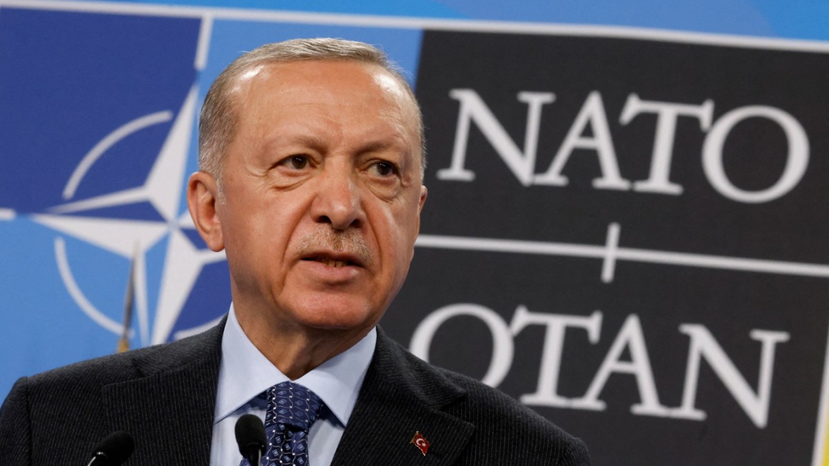 Le Parlement turc approuve l’adhésion de la Suède à l’OTAN – politique