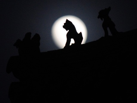 Erstmals seit Jahrzehnten "Blue Moon" zu Silvester;AFP