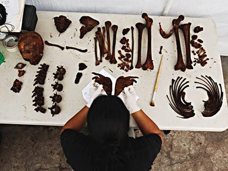 Guatemala: Anthropologen bei der Forschung an Skeletten