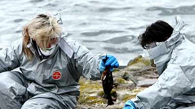 Warnung vor H5N1-Virus: Am Ufer der Talsperre Kelbra sind an der Vogelgrippe verendete Wildvögel gefunden worden.