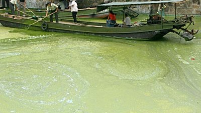 Flussverschmutzung in China: In der ostchinesischen Provinz Jiangsu verschmutzen neben  Algen auch giftiger Ammoniak und Stickstoff das Trinkwasser.