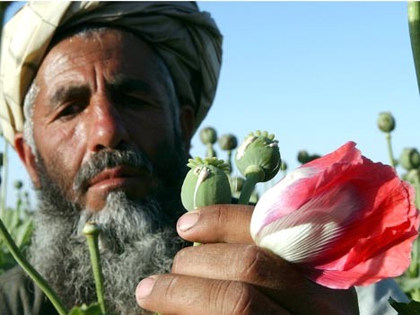Drogenhandel Afghanistan