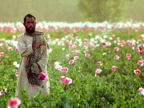 Drogenhandel Afghanistan