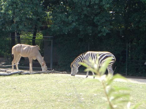 Zoo Gelsenkirchen