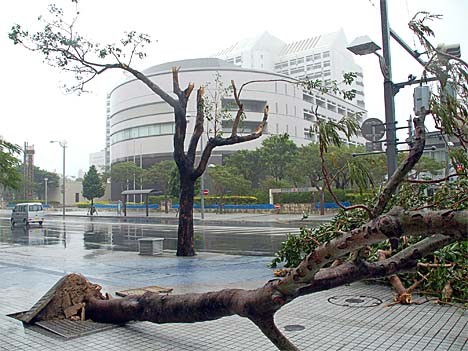 Taifun Asien Japan