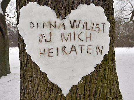 Herz an einem Baum im Bürgerpark Bremen, dpa