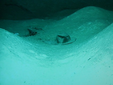 Unterwasserbilder von Wrack Centaur;AP