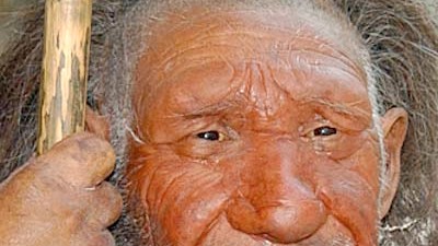 Ernährung: Im Neandertal-Museum in Mettmann ist er nachgebildet.