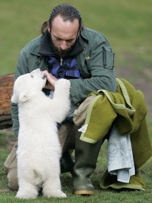 Eisbär, Knut, Reuters