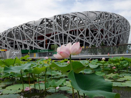stadion in peking