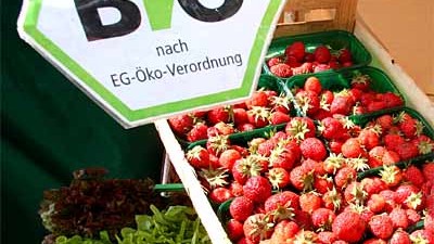 Lebensmittelpreise: Die meisten Verbraucher in Deutschland greifen hin und wieder zu Bio-Produkten. Doch immer weniger können sich die teuren Erdbeeren, Zitronen oder Orangen aus ökologischem Anbau noch leisten.