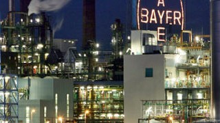 Wahl zur Sportstadt des Jahres: Bayer - Namensgeber und Sponsor vieler Leverkusener Sportvereine
