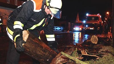 Unwetter über Deutschland: Ein Feuerwehrmann beseitigt einen umgestürzten Baum in Altenkunstadt in Oberfranken.