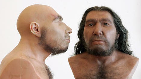 Rekonstruktionen: Zwei Neandertaler im Rheinischen Landesmuseum in Bonn.