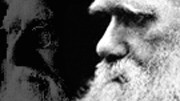 Frage der Woche: Streit um die Selektion: Charles Darwin (im Vordergrund) und Alfred Wallace.