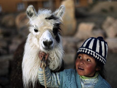 Kind mit Lama in Bolivien;Reuters