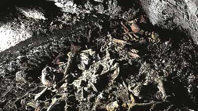Anthropologie: Im Berndsaal der Lichtensteinhöhle lagen hunderte Menschenknochen. Vermutlich wurden inmitten der Skelette religiöse Rituale zelebriert.