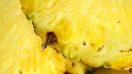 Ananas, Foto: ddp