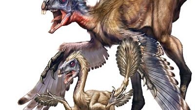 Dinosaurier Federn Similicaudipteryx Mauser China Xing Lida/Song Qijin