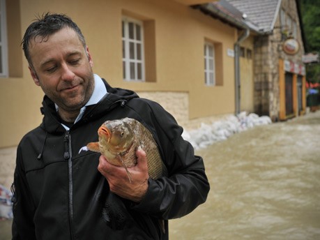 Hochwasser, Mitteleuropa, dapd