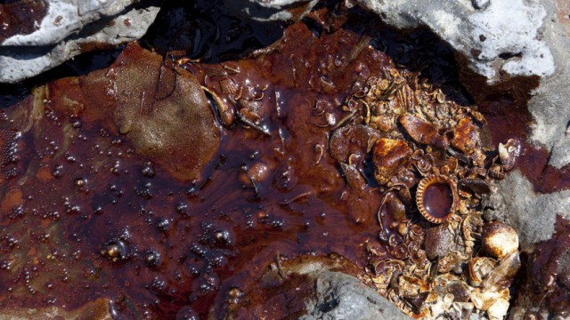 Oil from the Deepwater Horizon wellhead washes up on the beach of Elmer's Island in Louisiana