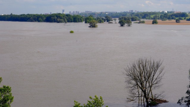 Oderhochwasser in Lebus