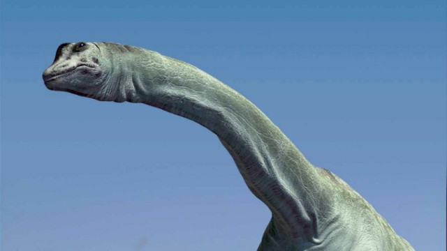 REMAINS OF HUGE PLANT EATING DINOSAUR FOUND IN EGYPT